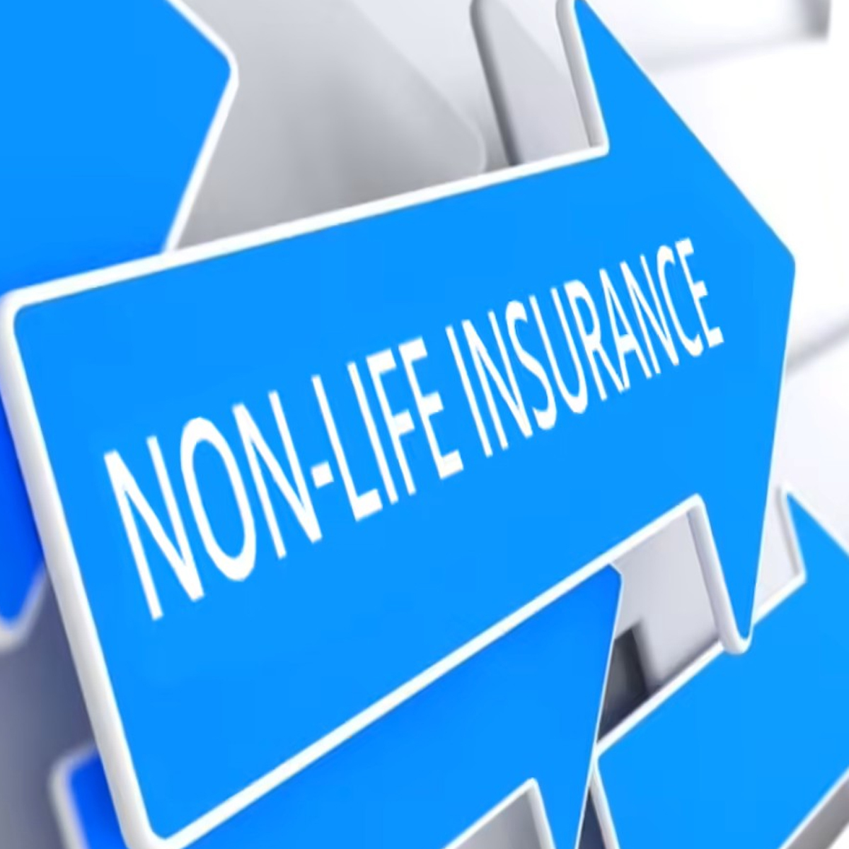 Non-Life Insurance